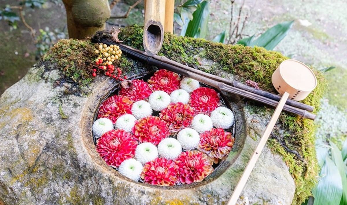 京都「繡球花寺」必朝聖!洗手池飄滿絢爛花球,還有5千株繡球讓你拍到飽 京都「繡球花寺」必朝聖!洗手池飄滿絢爛花球,還有5千株繡球讓你拍到飽