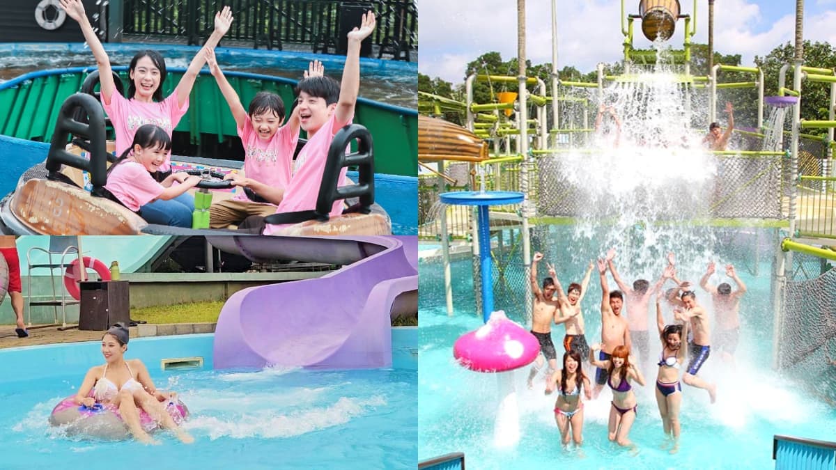 雙子、巨蟹免費入園!身分證中「這2碼」299元玩整天,4樂園優惠快收