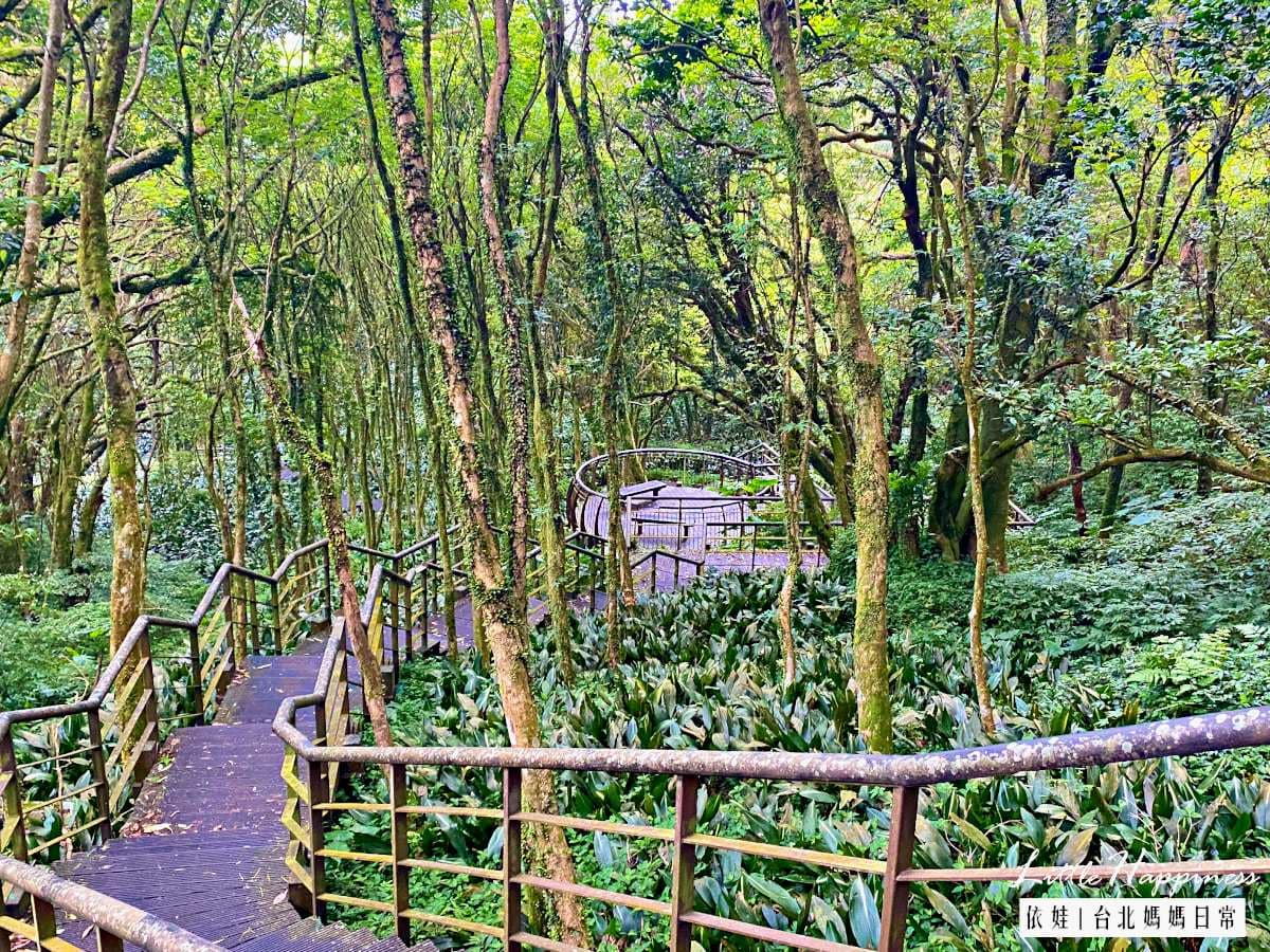 20分鐘輕鬆走完!「魔幻森林步道」藏陽明山,順遊「繡球花祕境」美照拍到飽 20分鐘輕鬆走完!「魔幻森林步道」藏陽明山,順遊「繡球花祕境」美照拍到飽