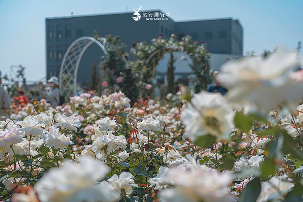 台南景點「雅聞湖濱療癒森林」行程攻略:6大觀光特色、主題花園 台南景點「雅聞湖濱療癒森林」行程攻略:6大觀光特色、主題花園