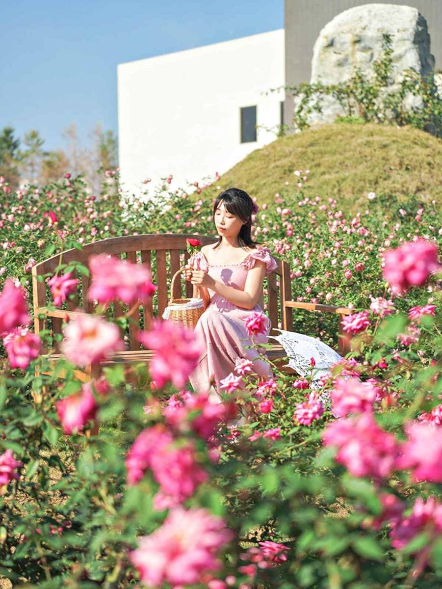 台南景點「雅聞湖濱療癒森林」行程攻略:6大觀光特色、主題花園 台南景點「雅聞湖濱療癒森林」行程攻略:6大觀光特色、主題花園