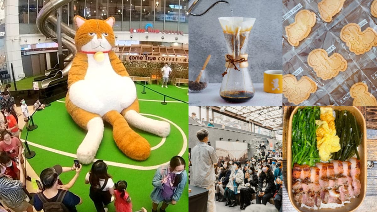 橘貓重重降落松菸!「台北最萌文創市集」6亮點:超過80家攤位、百大IP雲集
