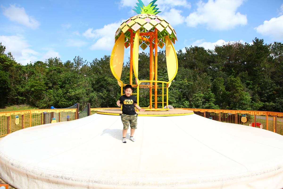 造型可愛還免費!沖繩5人氣親子公園:大鳳梨溜滑梯、恐龍系主題、海豚公園 造型可愛還免費!沖繩5人氣親子公園:大鳳梨溜滑梯、恐龍系主題、海豚公園