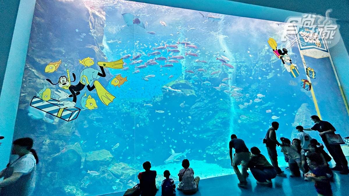 唐老鴨登陸台灣!Xpark迪士尼特展「這天」登場,10大場景、AR互動樂翻天 唐老鴨登陸台灣!Xpark迪士尼特展「這天」登場,10大場景、AR互動樂翻天