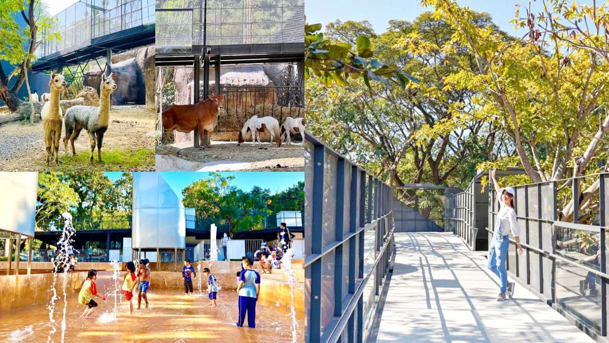 暑假「這類人」免費玩整天!壽山動物園暑假優惠,加碼Xpark聯票1票逛2館