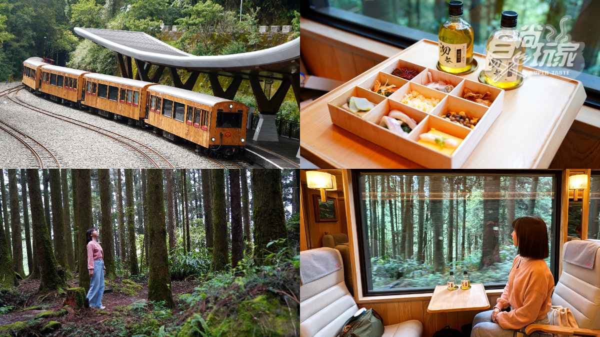 阿里山最美火車「這天」啟航!福森號遊程4亮點:九宮格質感餐盒、品茶體驗