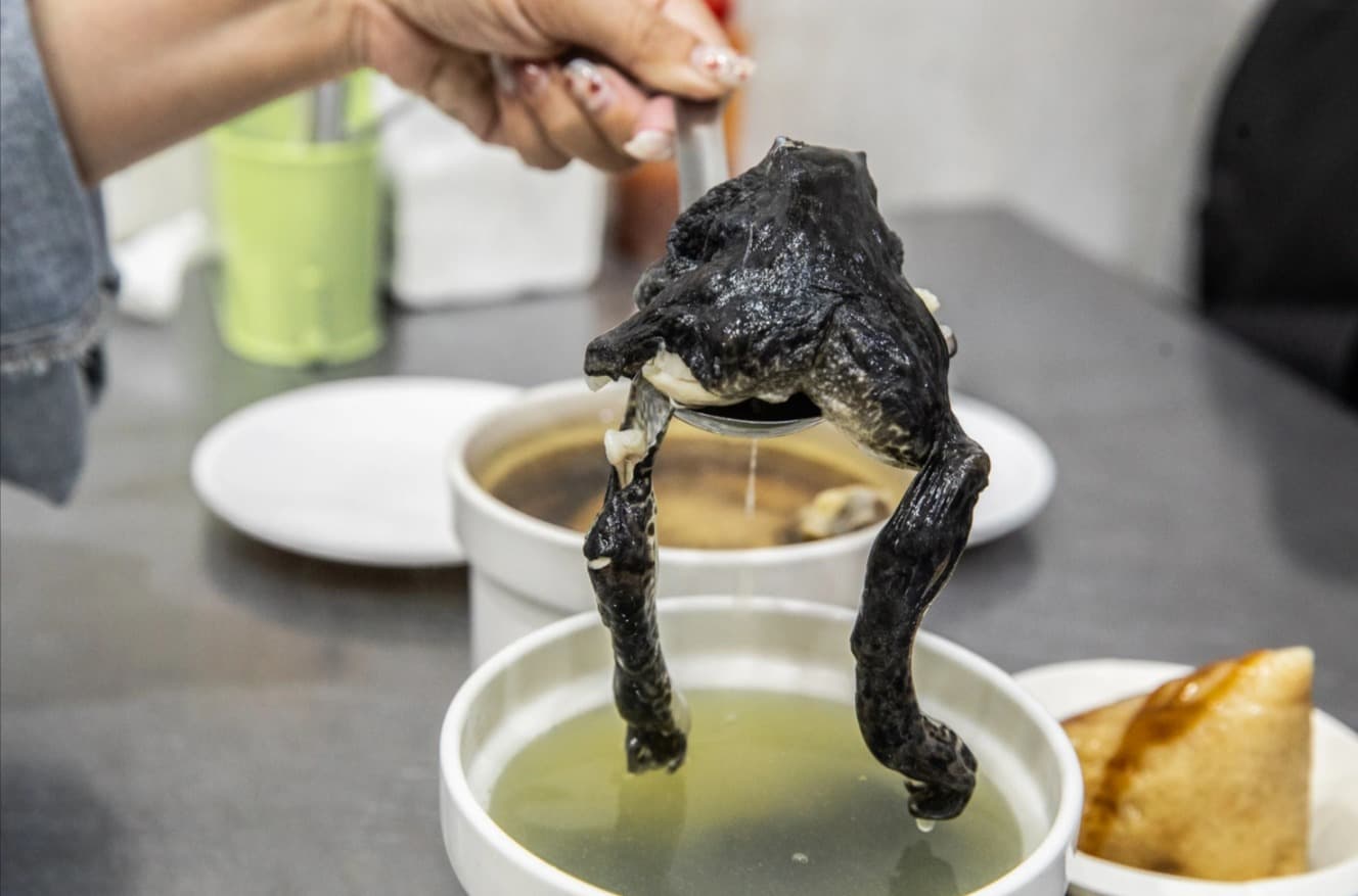 嘉義宵夜12家!深夜限定只賣4小時牛肉麵、25元炭烤魷魚、豆漿豆花推薦 一盅燉補湯|嘉義宵夜小吃