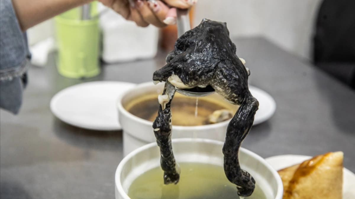 一盅燉補湯 img