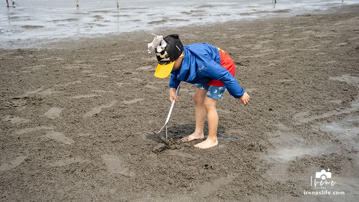 王功生態旅遊旺哥鐵牛車