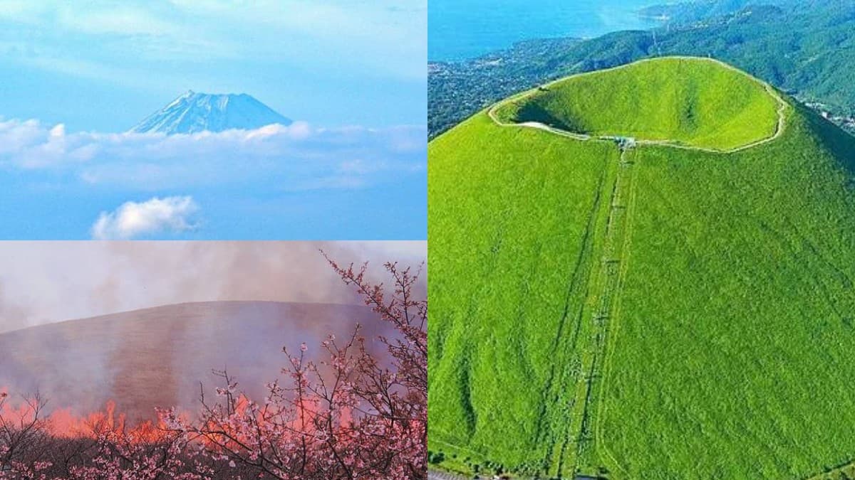 580公尺「抹茶布丁山」!欣賞雲中富士山,花百元還能體驗「放火燒山」