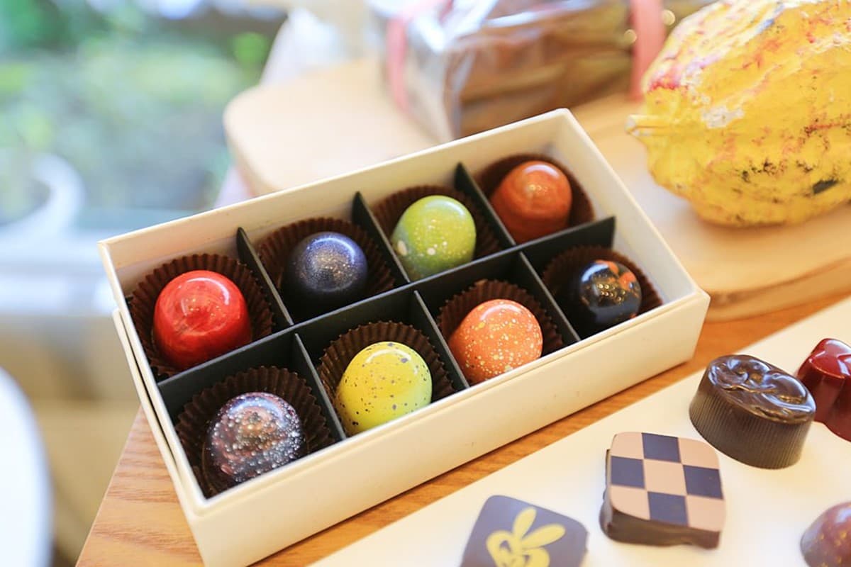 嘉義人私藏10間伴手禮!神木羊羹、夢幻手工巧克力、嘉義最強司康 嘉義伴手禮:蕊杜巧克力工坊|最夢幻手工巧克力