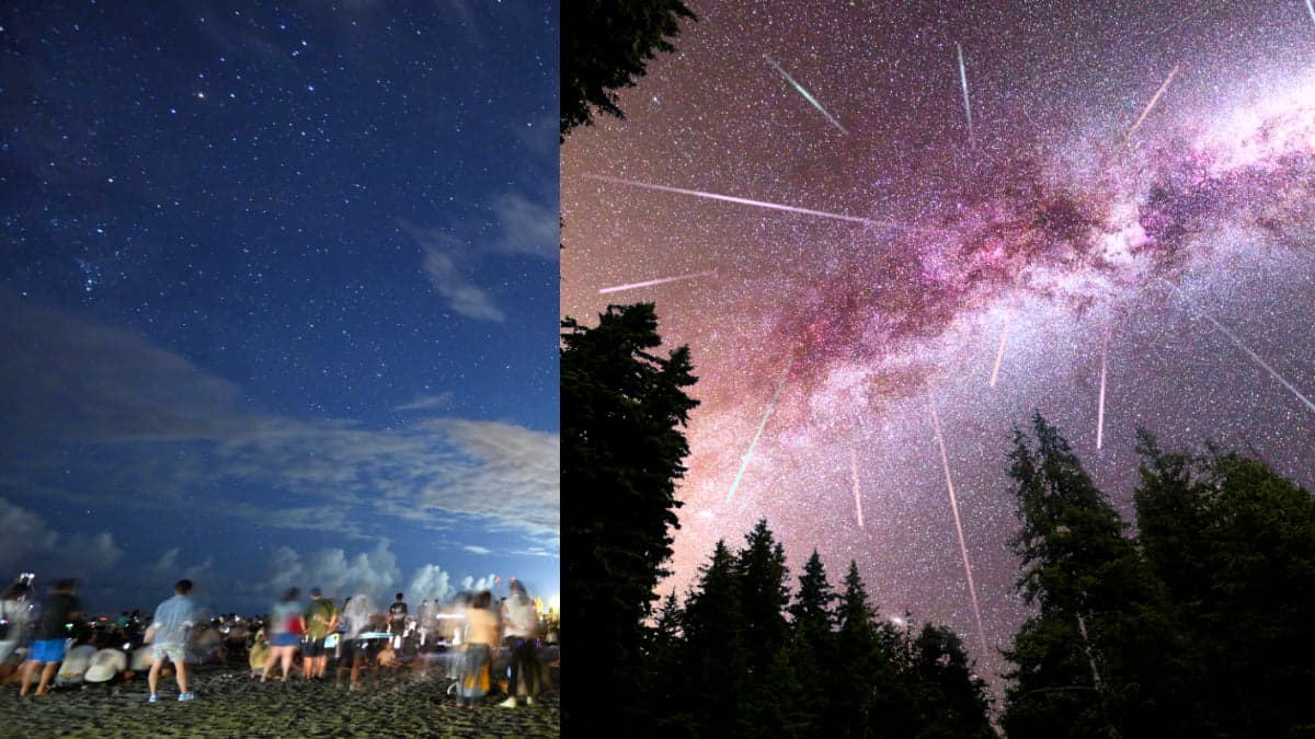 錯過再等1年!2024英仙座流星雨「這2天」極大期最美,免費逛2大星空活動