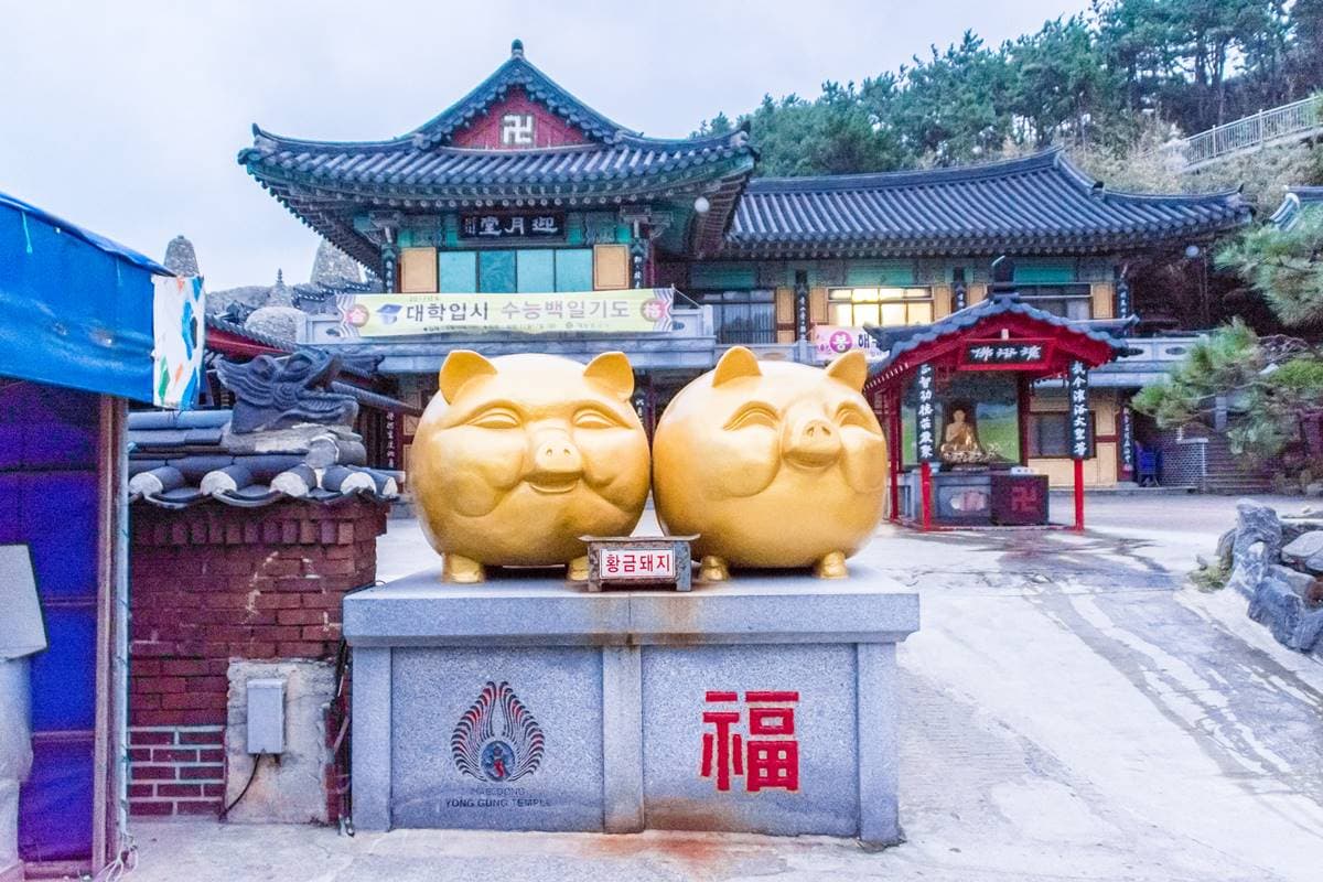 每天財運滾滾來!台日韓「招財動物」好驚奇,被韓國人稱「這動物」竟是讚美 每天財運滾滾來!台日韓「招財動物」好驚奇,被韓國人稱「這動物」竟是讚美