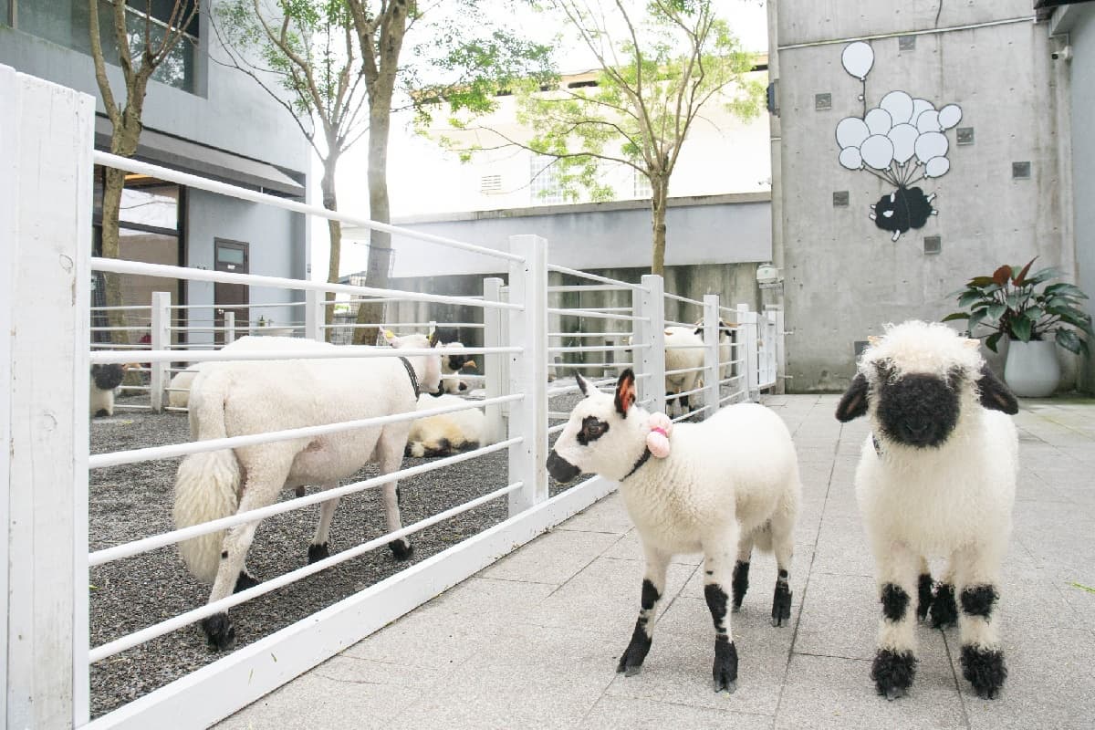 【獨家】送5000好康!全台最大「日式主題飯店」優惠,浴衣、忍者體驗還可餵水豚 【獨家】送5000好康!全台最大「日式主題飯店」優惠,浴衣、忍者體驗還可餵水豚