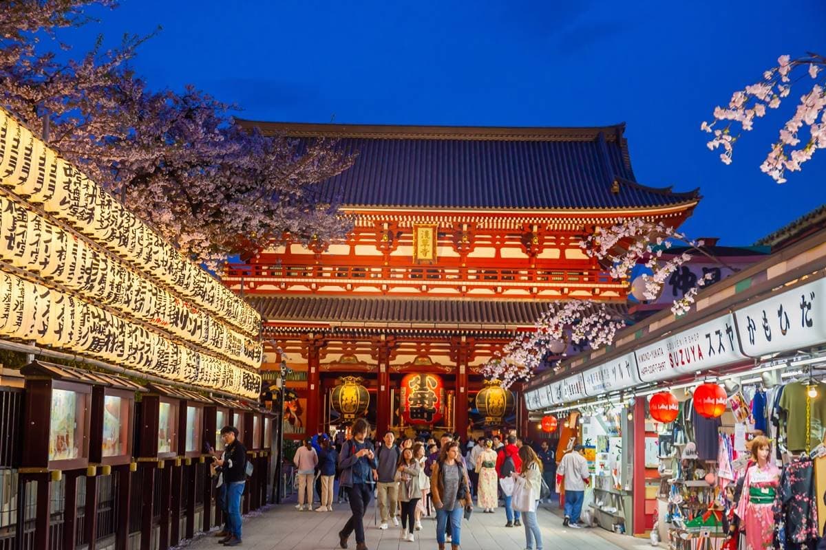 沒做「6件事」別說去過日本!旅日逾10次達人票選:最美賞楓地、這裡餵海鷗 沒做「6件事」別說去過日本!旅日逾10次達人票選:最美賞楓地、這裡餵海鷗