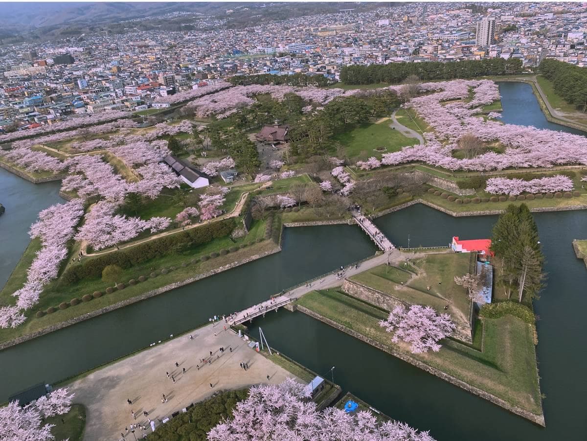 沒做「6件事」別說去過日本!旅日逾10次達人票選:最美賞楓地、這裡餵海鷗 沒做「6件事」別說去過日本!旅日逾10次達人票選:最美賞楓地、這裡餵海鷗