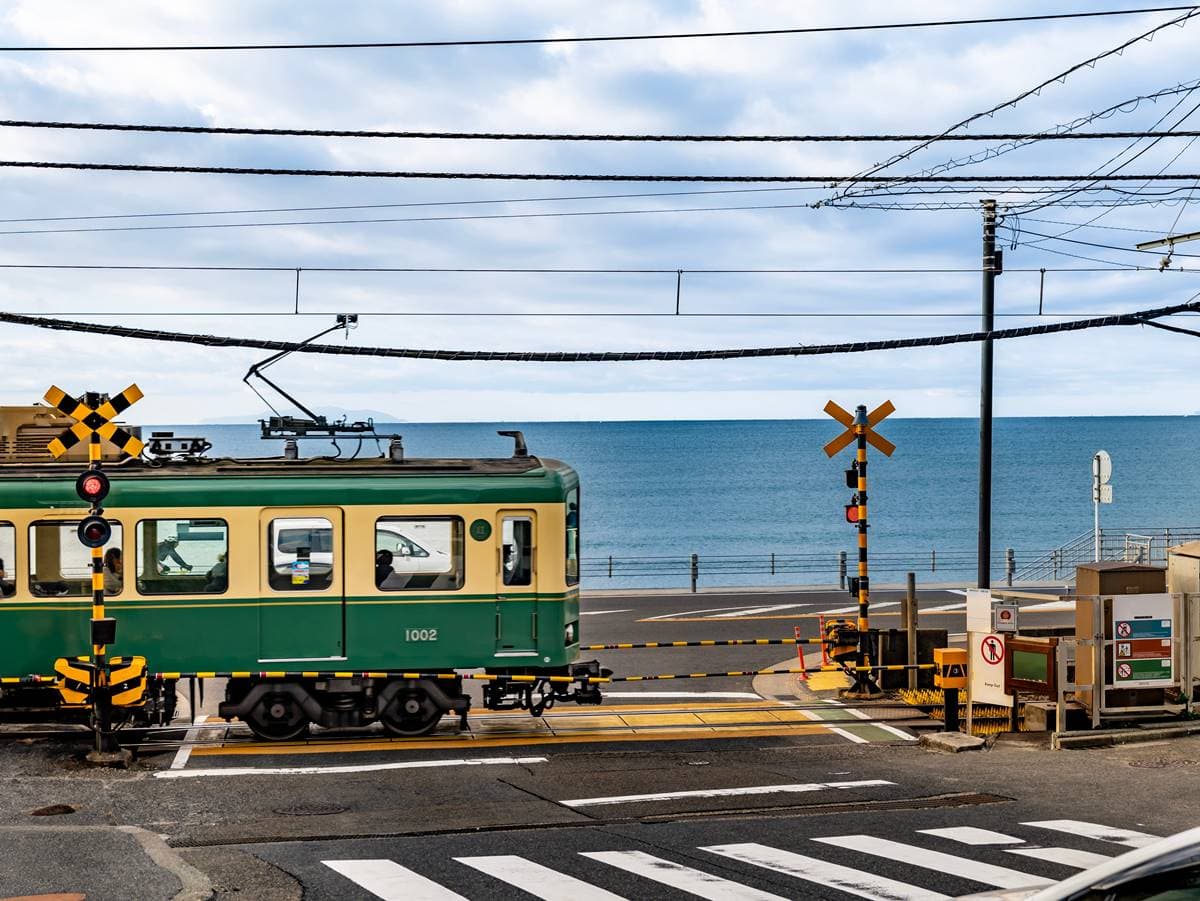 沒做「6件事」別說去過日本!旅日逾10次達人票選:最美賞楓地、這裡餵海鷗 沒做「6件事」別說去過日本!旅日逾10次達人票選:最美賞楓地、這裡餵海鷗