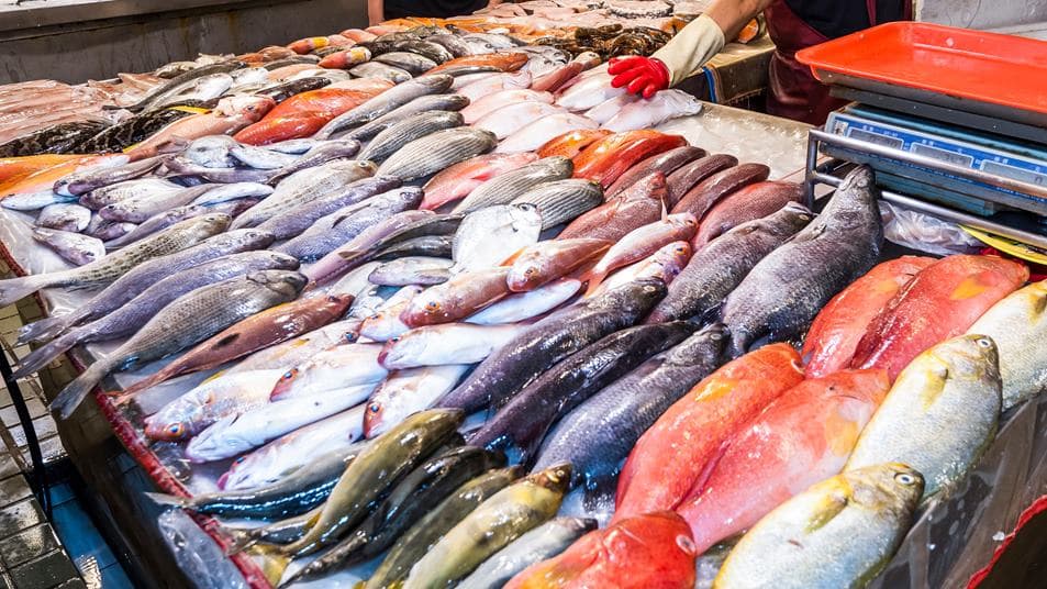 鮪魚也上榜!醫師曝「這些魚」重金屬含量高,吃太多恐加速失智