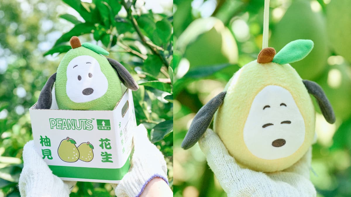 史努比化身Q萌柚子!威秀影城開賣「文旦史努比禮盒」2款,開賣資訊快收下 史努比化身Q萌柚子!威秀影城開賣「文旦史努比禮盒」2款,開賣資訊快收下