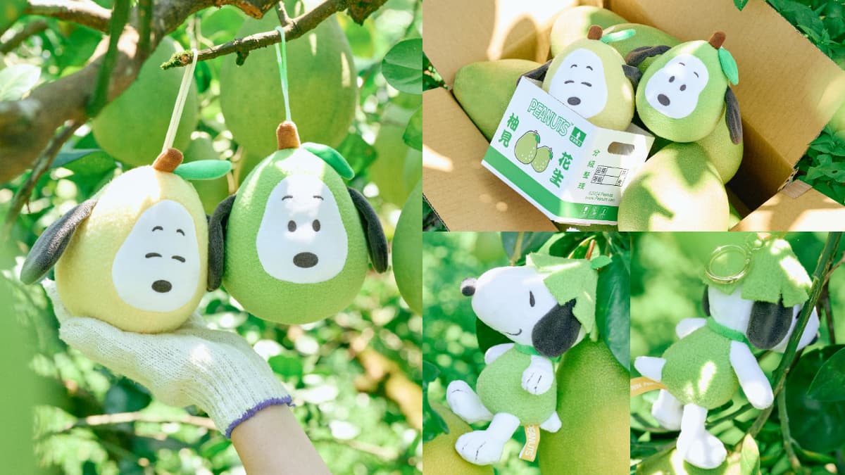 史努比化身Q萌柚子!威秀影城開賣「文旦史努比禮盒」2款,開賣資訊快收下