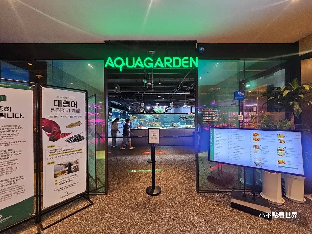 快來當小美人魚!超涼感「水族館餐廳」彷彿走進海底,繽紛魚群看了好療癒 快來當小美人魚!超涼感「水族館餐廳」彷彿走進海底,繽紛魚群看了好療癒