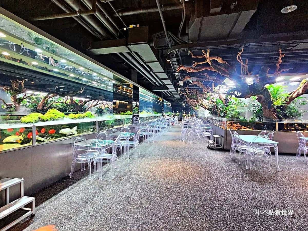 快來當小美人魚!超涼感「水族館餐廳」彷彿走進海底,繽紛魚群看了好療癒 快來當小美人魚!超涼感「水族館餐廳」彷彿走進海底,繽紛魚群看了好療癒
