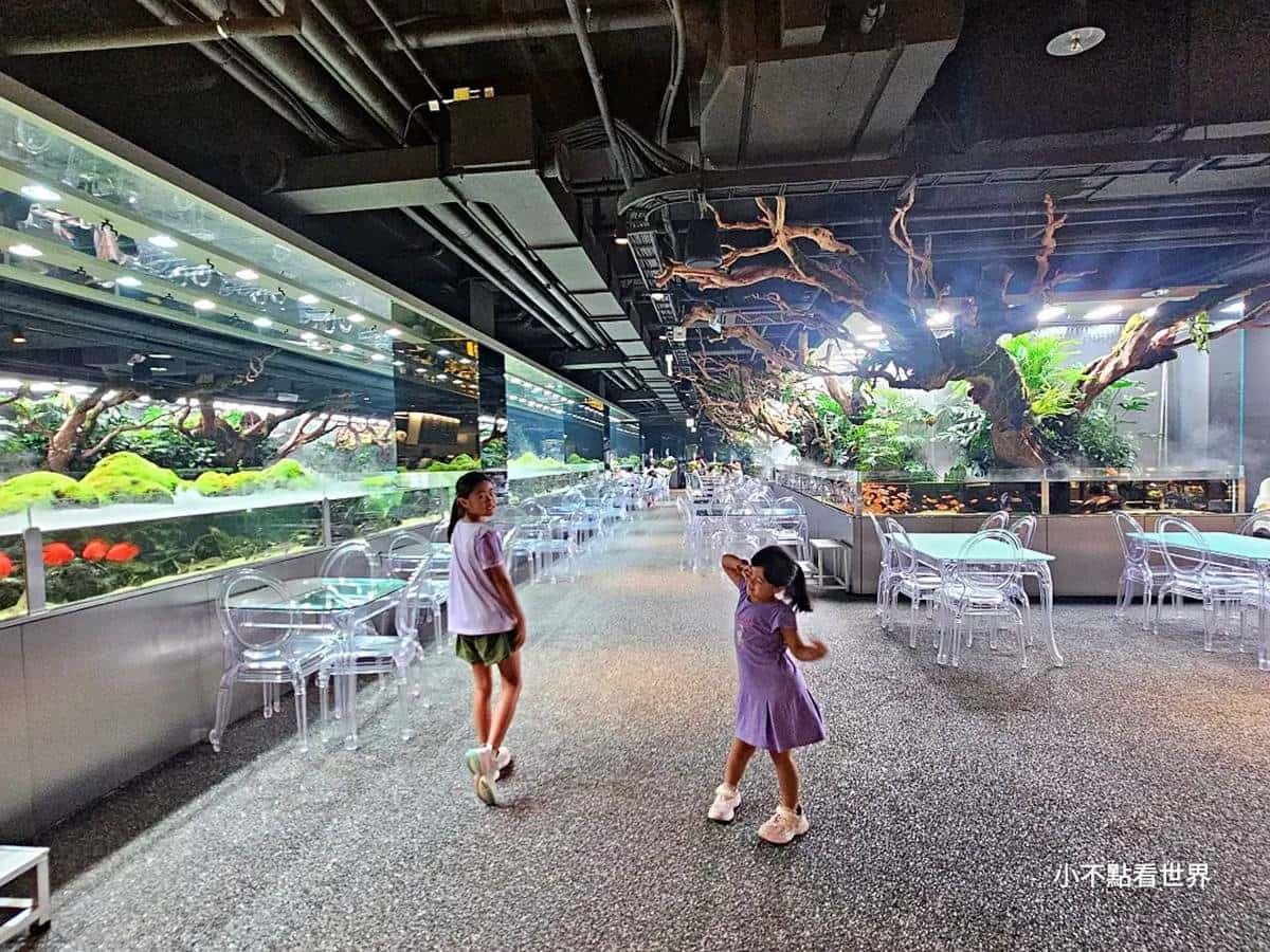 快來當小美人魚!超涼感「水族館餐廳」彷彿走進海底,繽紛魚群看了好療癒 快來當小美人魚!超涼感「水族館餐廳」彷彿走進海底,繽紛魚群看了好療癒