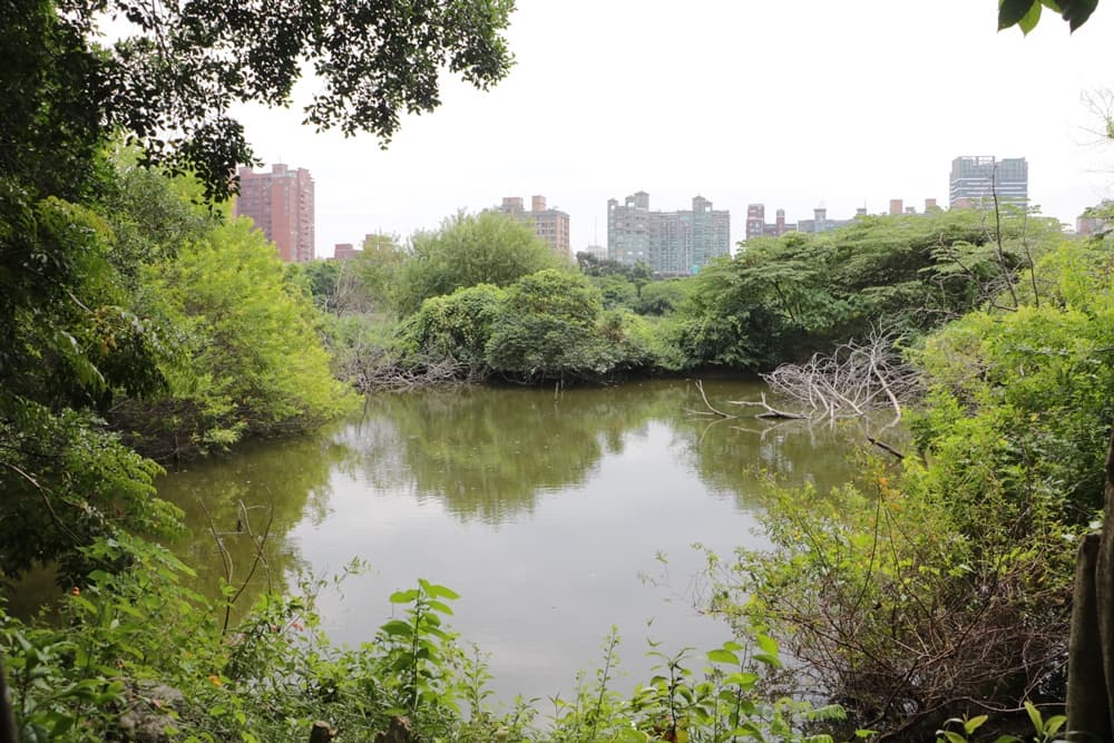 洲仔濕地 img