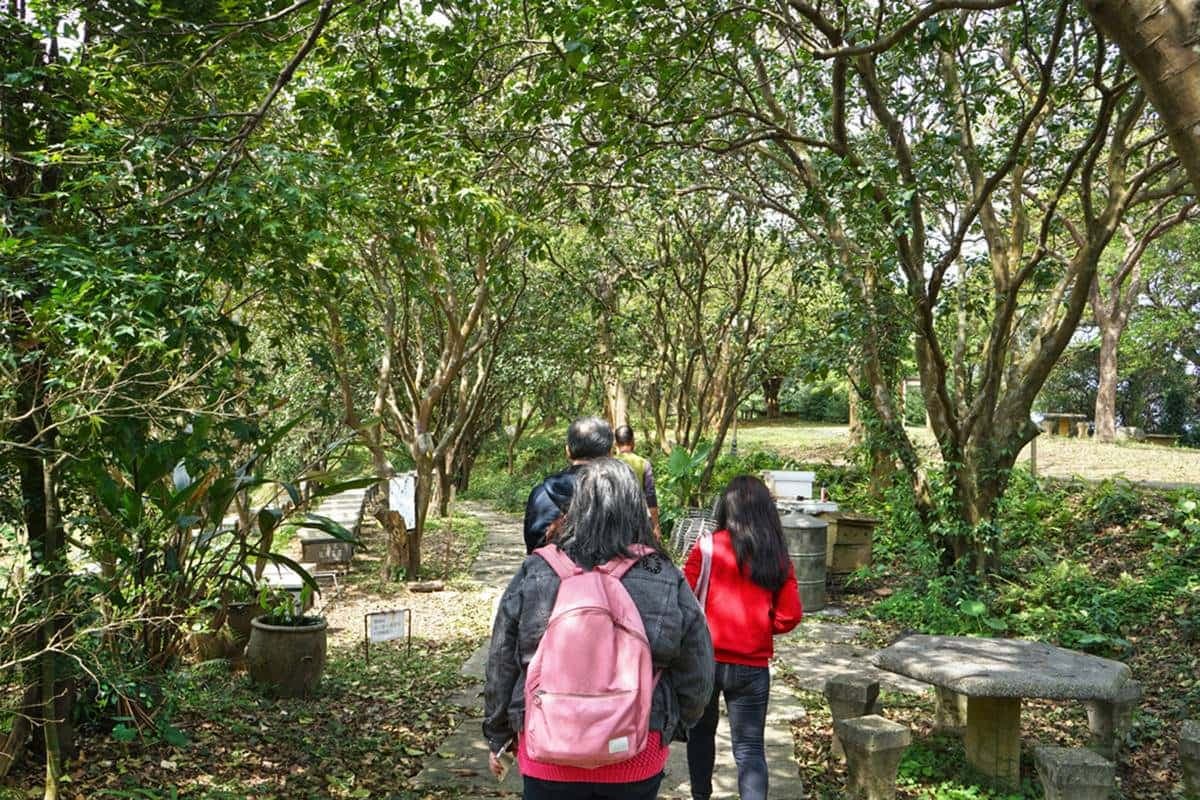北海岸「綠色無毒」養蜂農場!無農藥養出純淨蜂蜜,更年年榮獲國家安全認證 北海岸「綠色無毒」養蜂農場!無農藥養出純淨蜂蜜,更年年榮獲國家安全認證