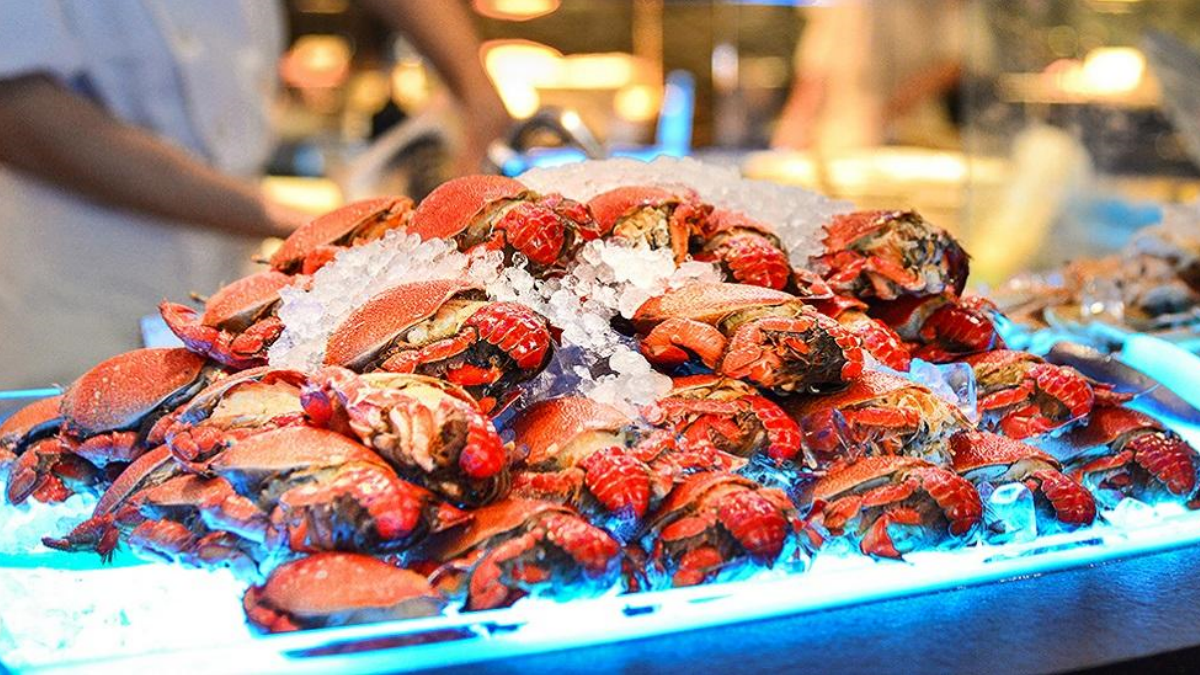 高CP值早午餐、一鴨六吃全鴨宴!老饕必吃6間「殿堂級美食飯店」,投票送你環島住1年 高CP值早午餐、一鴨六吃全鴨宴!老饕必吃6間「殿堂級美食飯店」,投票送你環島住1年