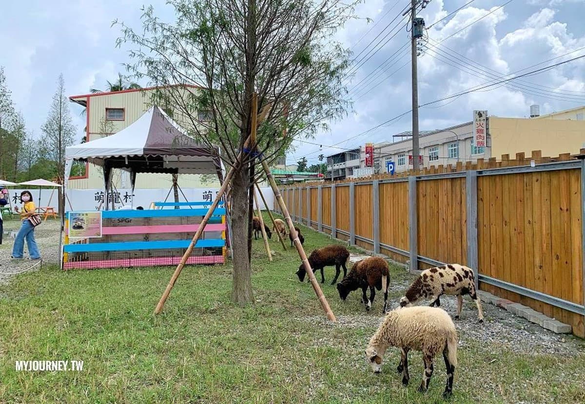 兒童只要150元!嘉義全新「萌寵親子農場」開放,免費餵動物、玩遊樂設施 兒童只要150元!嘉義全新「萌寵親子農場」開放,免費餵動物、玩遊樂設施
