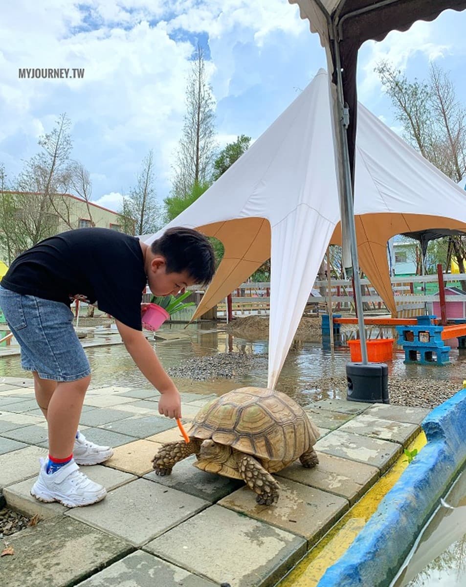 兒童只要150元!嘉義全新「萌寵親子農場」開放,免費餵動物、玩遊樂設施 兒童只要150元!嘉義全新「萌寵親子農場」開放,免費餵動物、玩遊樂設施