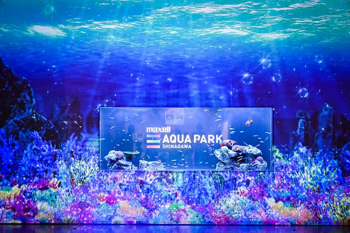 親子旅遊必去!最炫科技「夢幻水族館」,超美「海豚聲光音樂秀」必看 親子旅遊必去!最炫科技「夢幻水族館」,超美「海豚聲光音樂秀」必看
