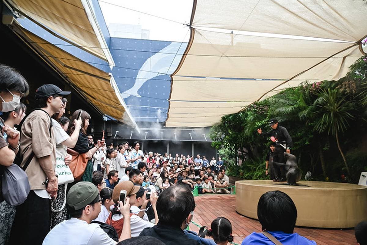 親子旅遊必去!最炫科技「夢幻水族館」,超美「海豚聲光音樂秀」必看 親子旅遊必去!最炫科技「夢幻水族館」,超美「海豚聲光音樂秀」必看