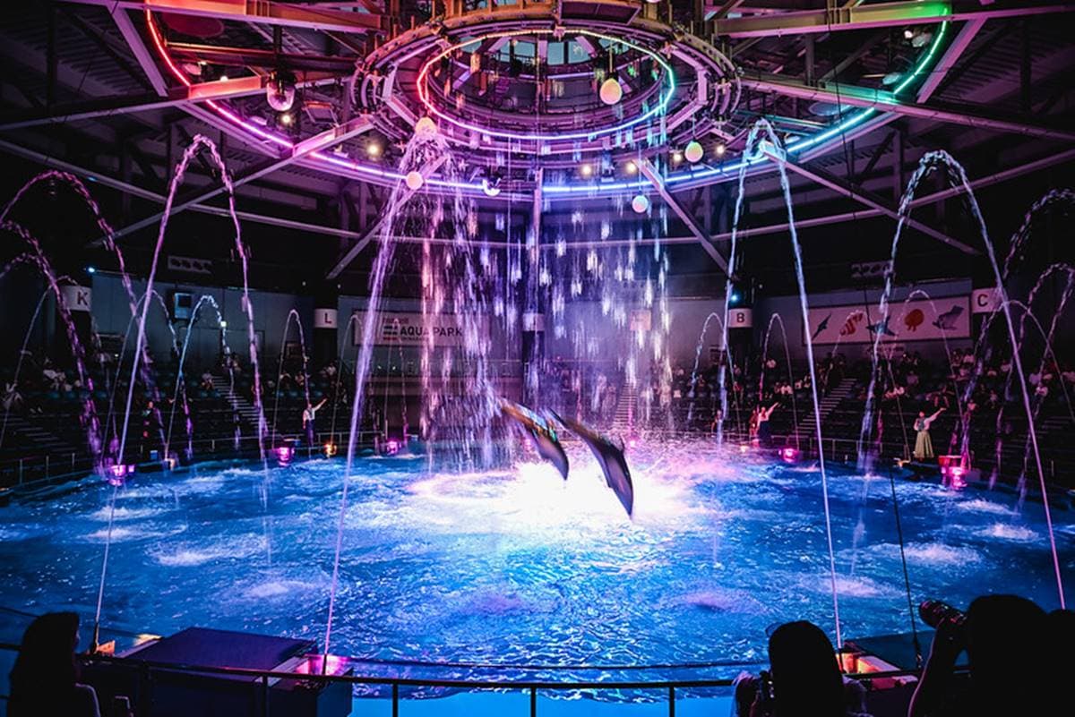 親子旅遊必去!最炫科技「夢幻水族館」,超美「海豚聲光音樂秀」必看 親子旅遊必去!最炫科技「夢幻水族館」,超美「海豚聲光音樂秀」必看