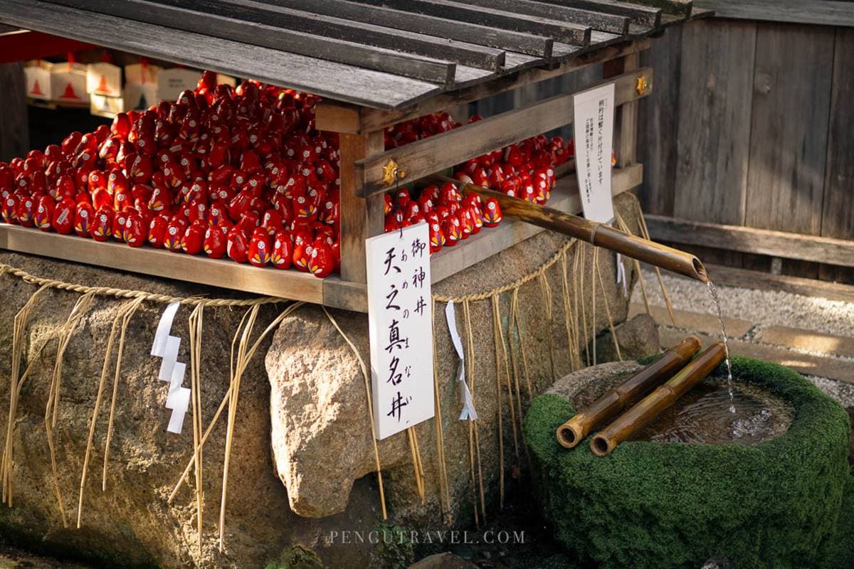 女性專屬守護神!京都最強「女神神社」,社內「神奇井水」喝下願望就成真 女性專屬守護神!京都最強「女神神社」,社內「神奇井水」喝下願望就成真