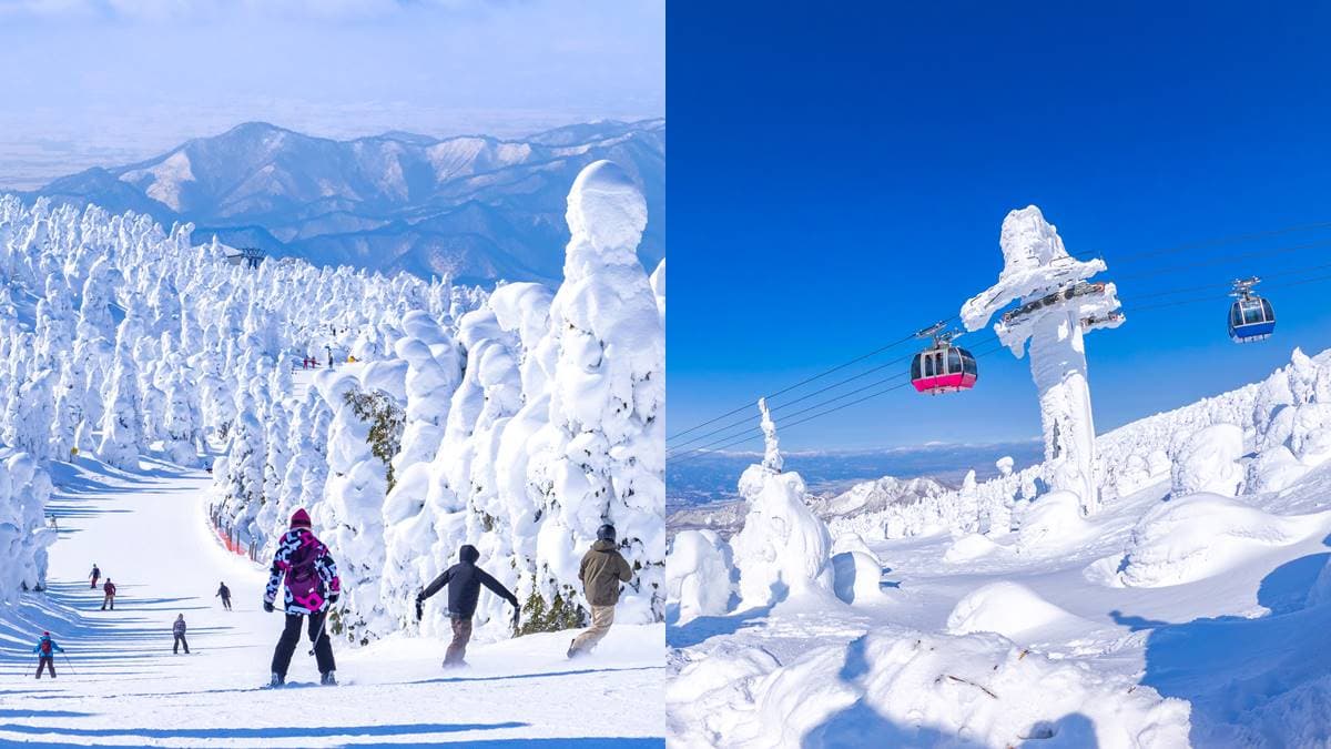 再不看就要消失了!「雪怪藏王樹冰」日本冬季必去,超詳細1日遊行程攻略