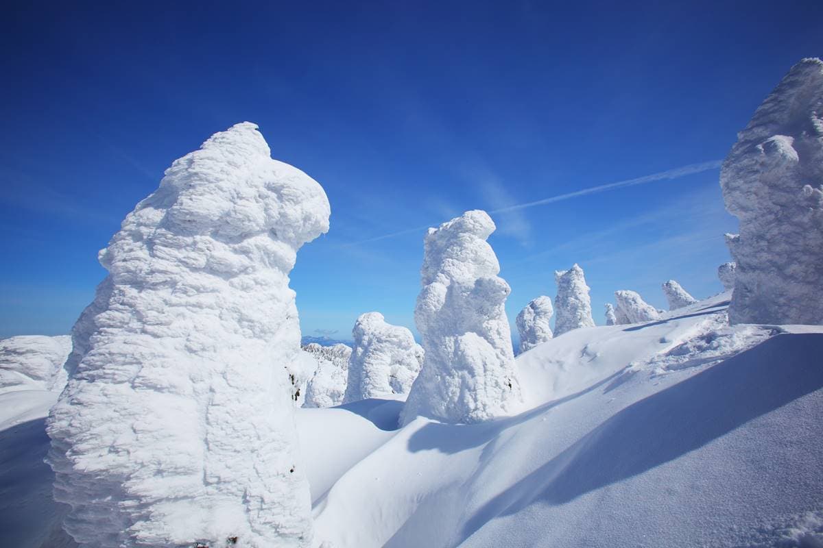 再不看就要消失了!「雪怪藏王樹冰」日本冬季必去,超詳細1日遊行程攻略 再不看就要消失了!「雪怪藏王樹冰」日本冬季必去,超詳細1日遊行程攻略