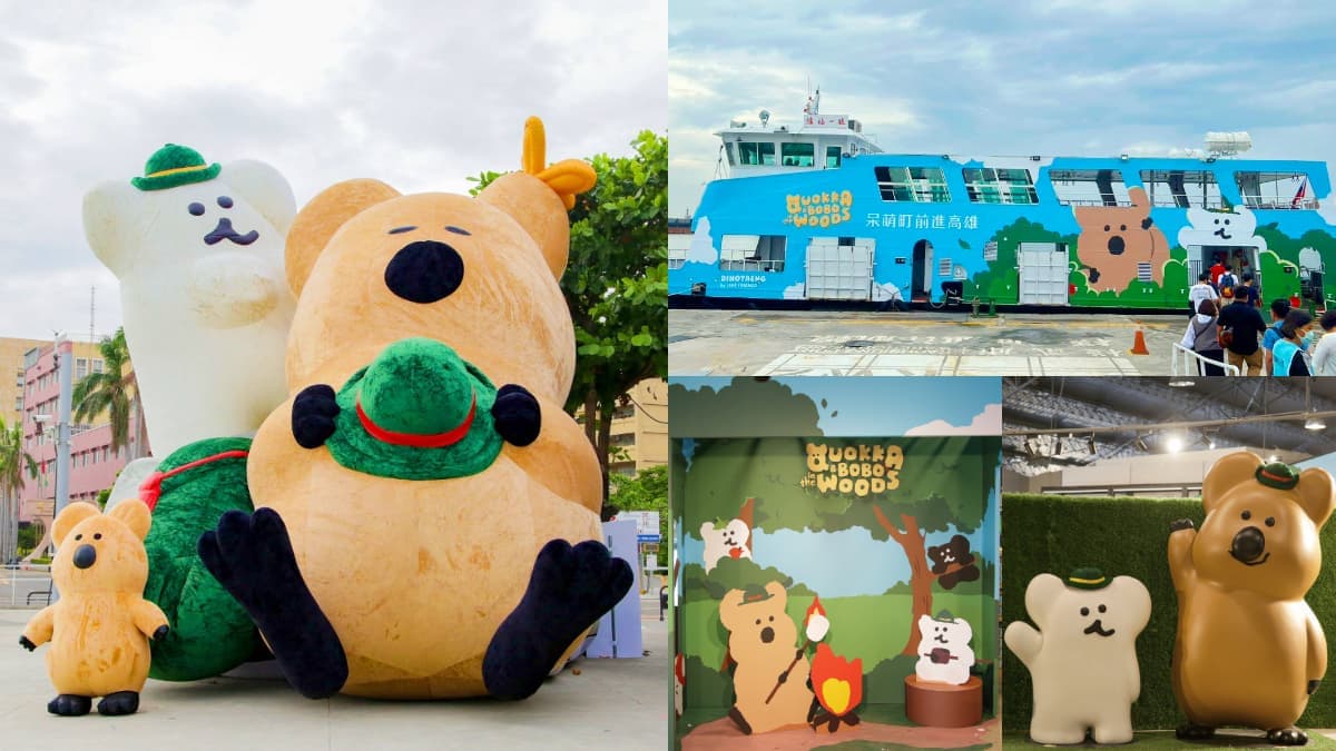 超萌「矮袋鼠QUOKKA渡輪」現身高雄!票價、航班資訊一次看,加碼逛快閃店