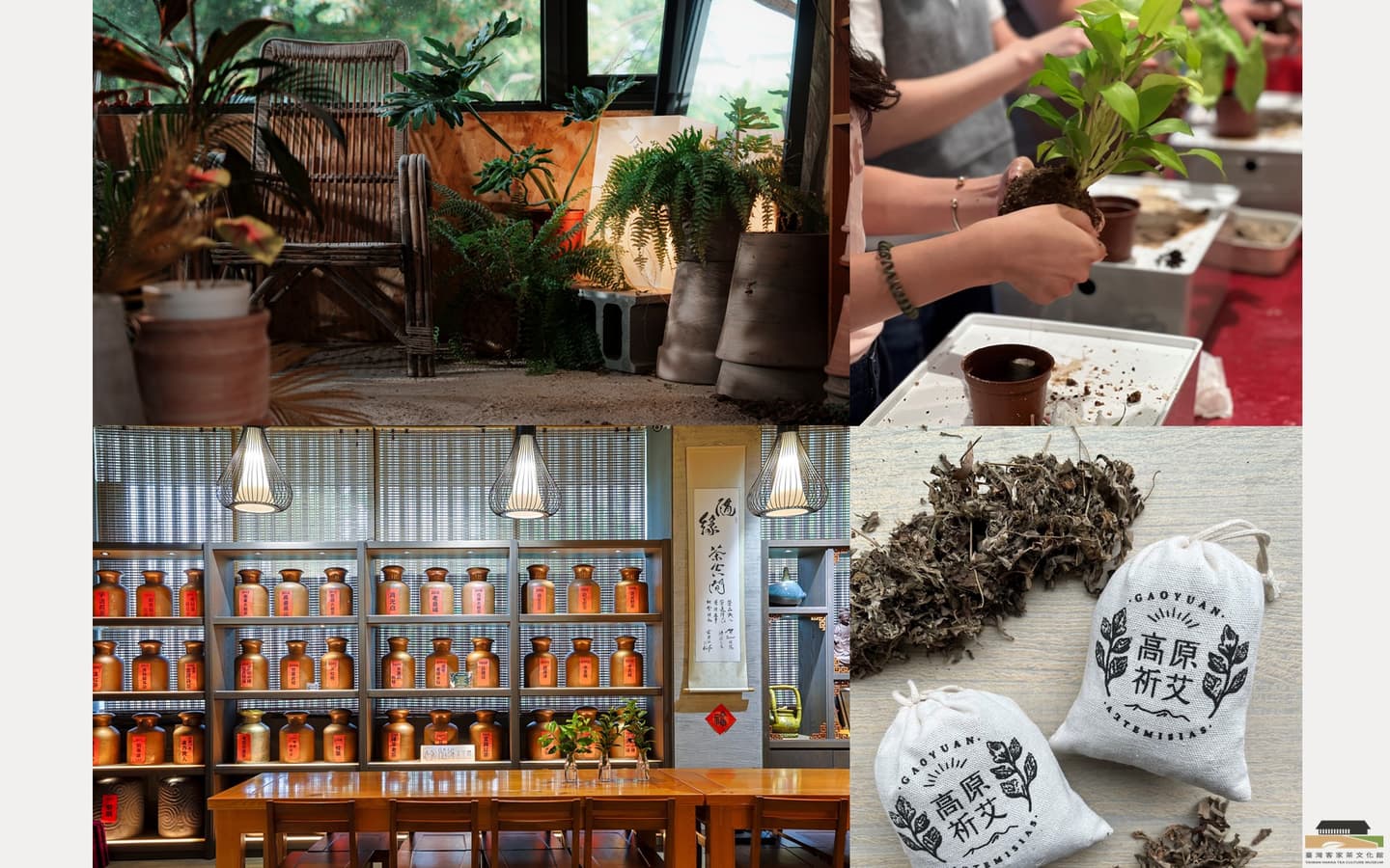 親子景點大公開!桃園臺灣客家茶文化館,兩週年系列活動一次看 親子景點大公開!桃園臺灣客家茶文化館,兩週年系列活動一次看