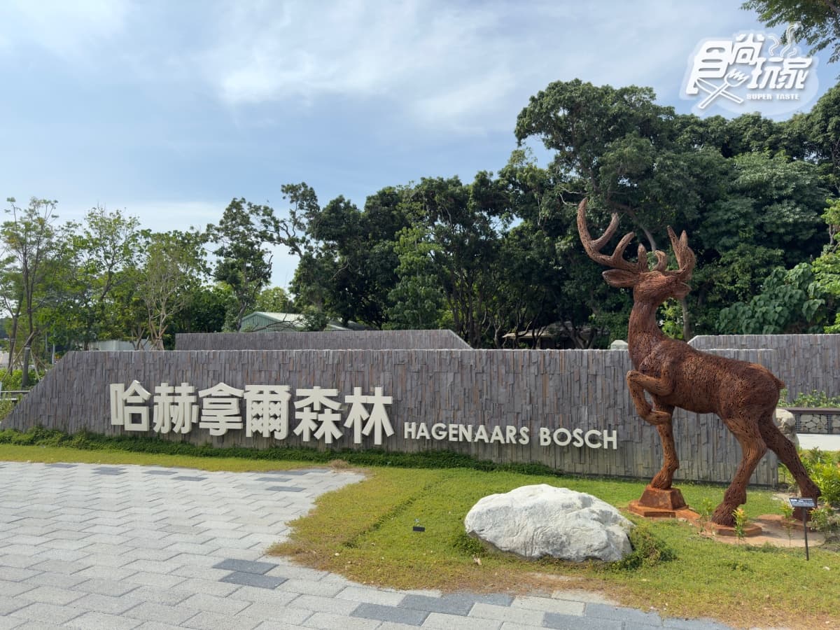 台南全新公園首度開放!原始祕境「哈赫拿爾森林」藏身市區,豐富生態探索 台南全新公園首度開放!原始祕境「哈赫拿爾森林」藏身市區,豐富生態探索