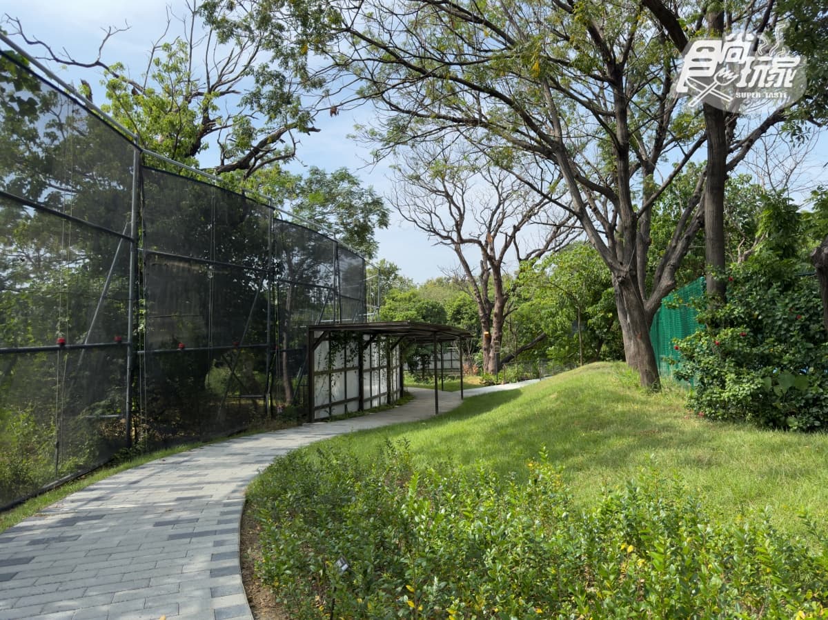 台南全新公園首度開放!原始祕境「哈赫拿爾森林」藏身市區,豐富生態探索 台南全新公園首度開放!原始祕境「哈赫拿爾森林」藏身市區,豐富生態探索