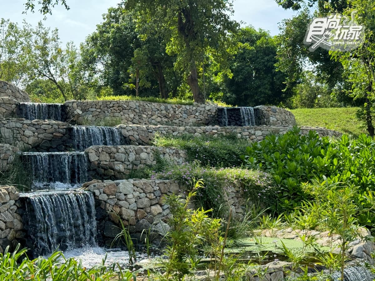 台南全新公園首度開放!原始祕境「哈赫拿爾森林」藏身市區,豐富生態探索 台南全新公園首度開放!原始祕境「哈赫拿爾森林」藏身市區,豐富生態探索