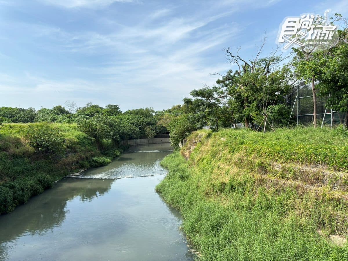 台南全新公園首度開放!原始祕境「哈赫拿爾森林」藏身市區,豐富生態探索 台南全新公園首度開放!原始祕境「哈赫拿爾森林」藏身市區,豐富生態探索