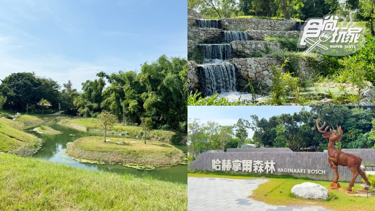 台南全新公園首度開放!原始祕境「哈赫拿爾森林」藏身市區,豐富生態探索