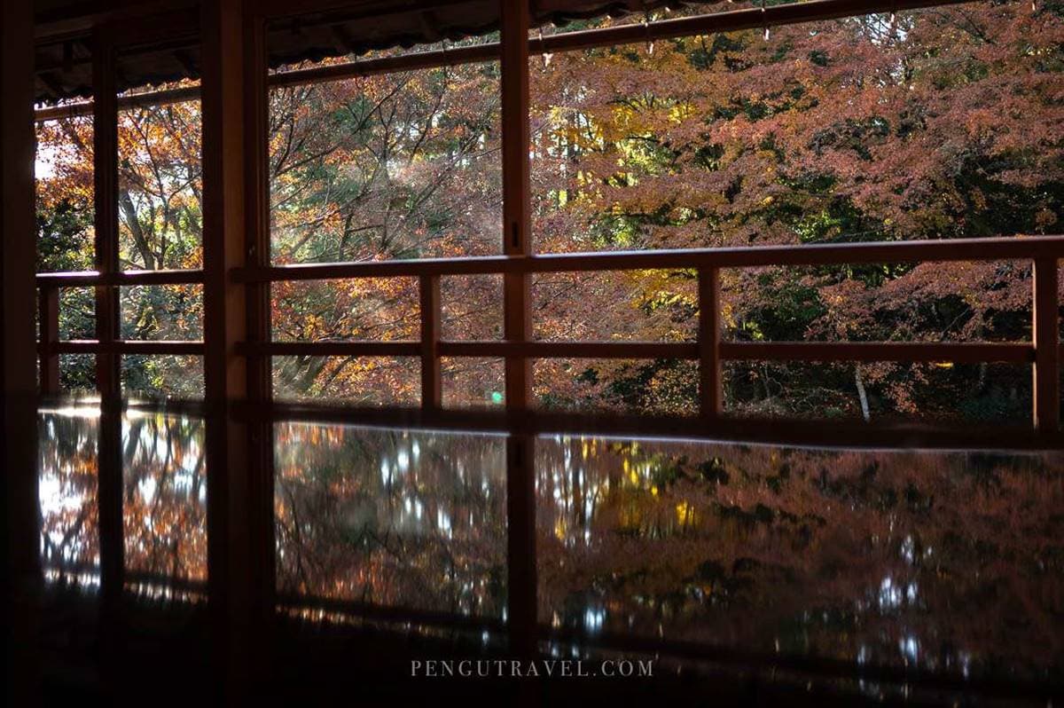 賞楓不用人擠人!滋賀隱藏景點「平價版琉璃光院」,門票69元紅葉倒影拍到飽 賞楓不用人擠人!滋賀隱藏景點「平價版琉璃光院」,門票69元紅葉倒影拍到飽