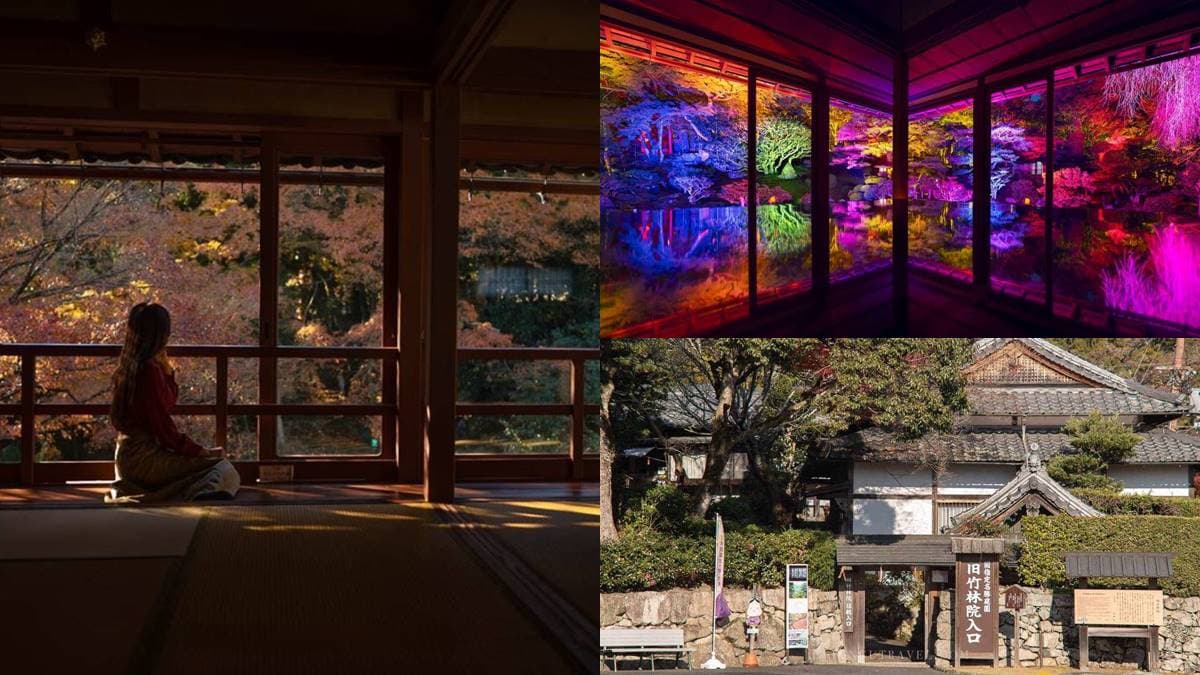 賞楓不用人擠人!滋賀隱藏景點「平價版琉璃光院」,門票69元紅葉倒影拍到飽