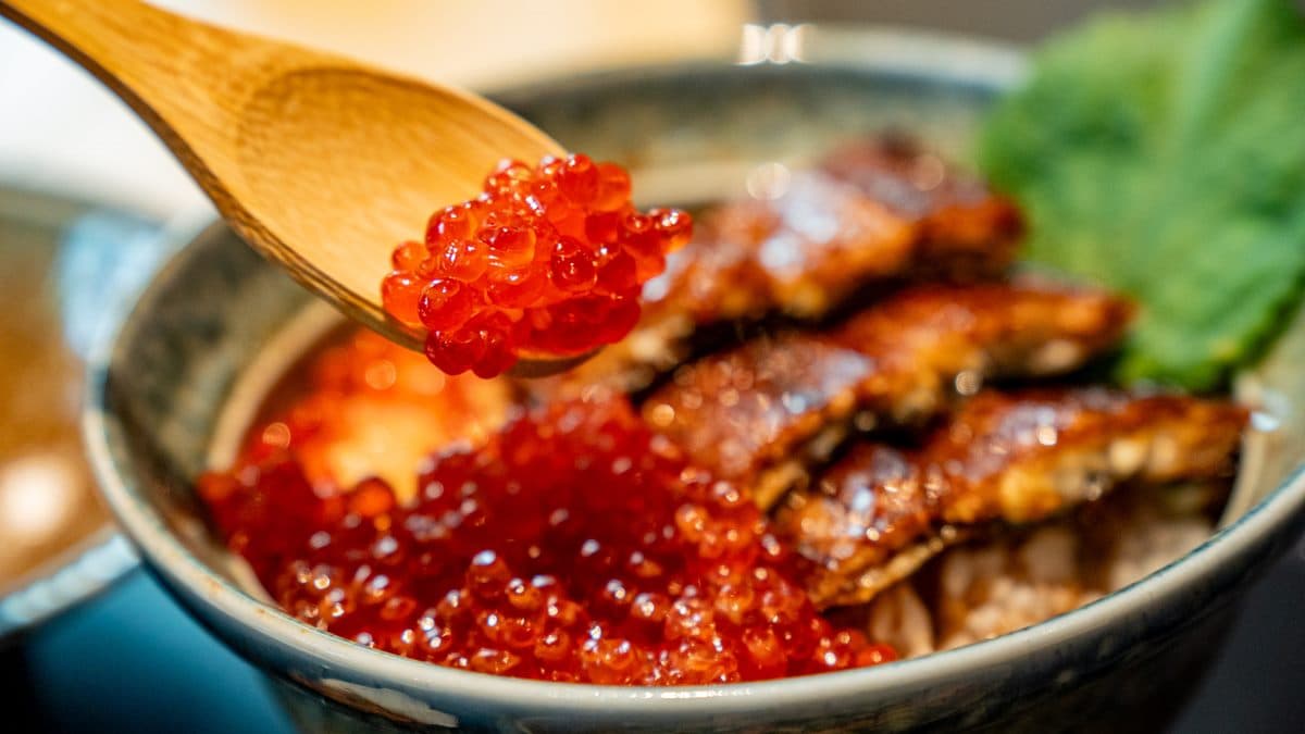 鰻魚控注意!「日本米其林鰻魚飯」進駐SOGO,白飯、日式小菜、湯品無限續 鰻魚控注意!「日本米其林鰻魚飯」進駐SOGO,白飯、日式小菜、湯品無限續