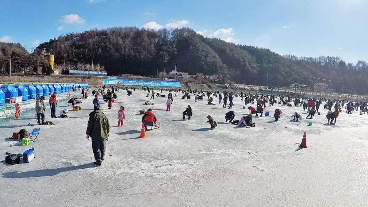 平昌鱒魚慶典