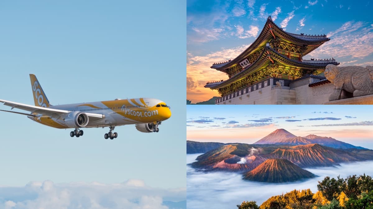搶明年便宜機票!酷航週年慶優惠「只到這天」,飛東京3199元起